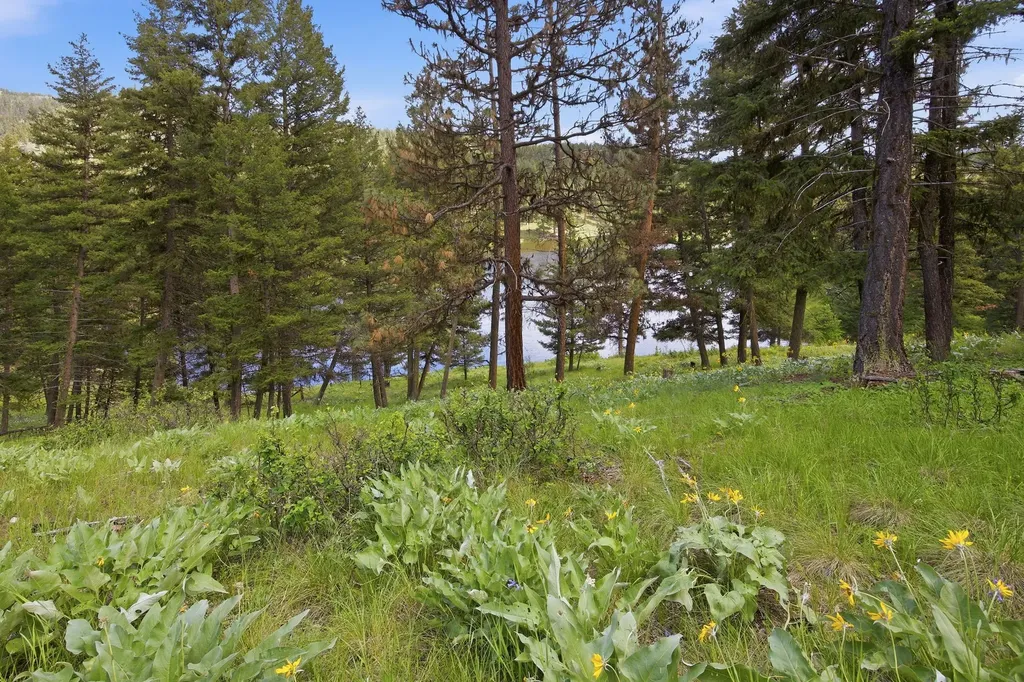 3 Big Waters Ranch Road Seeley Lake MT 59868