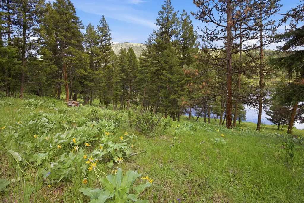 3 Big Waters Ranch Road Seeley Lake MT 59868