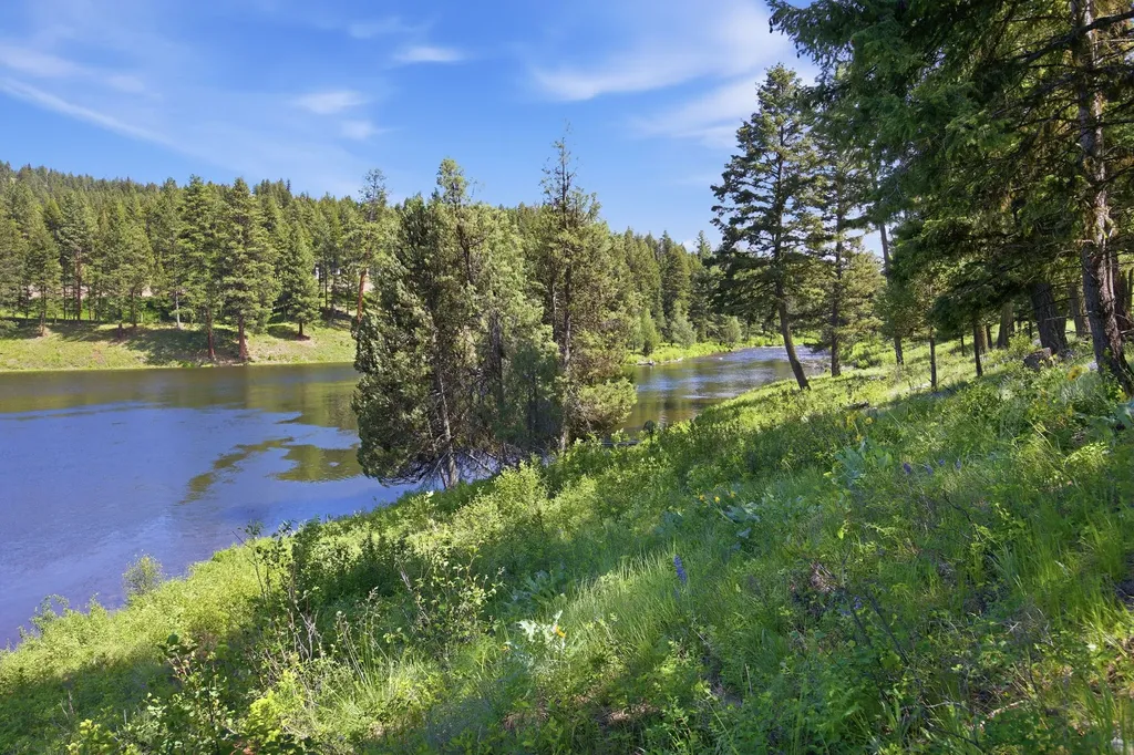 3 Big Waters Ranch Road Seeley Lake MT 59868