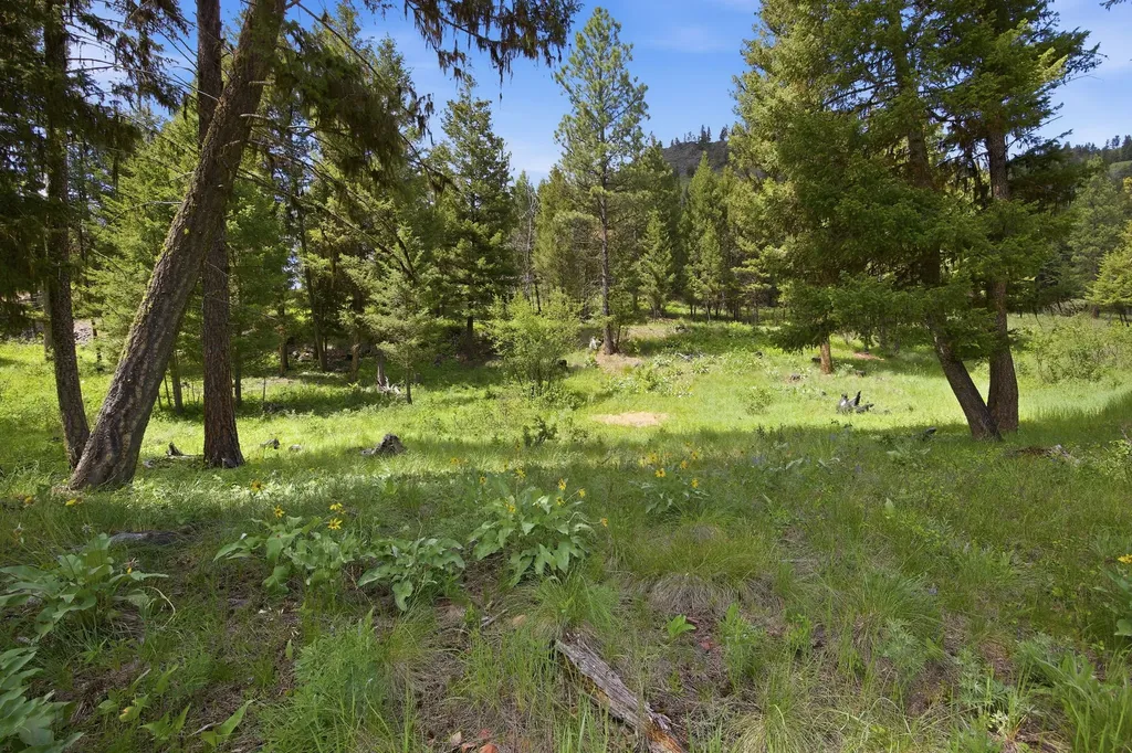 3 Big Waters Ranch Road Seeley Lake MT 59868