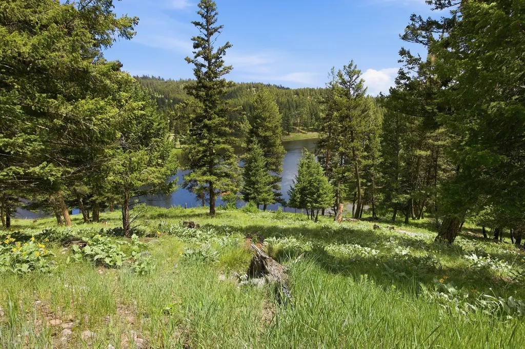 3 Big Waters Ranch Road Seeley Lake MT 59868