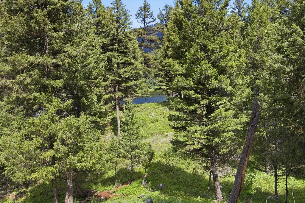 3 Big Waters Ranch Road Seeley Lake MT 59868