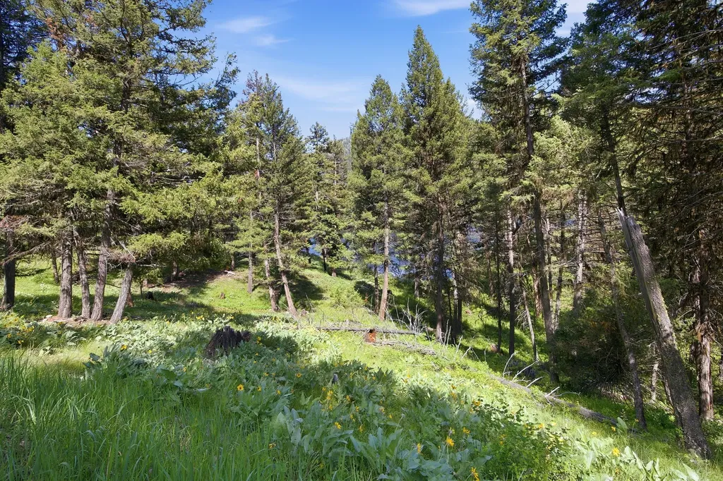 3 Big Waters Ranch Road Seeley Lake MT 59868