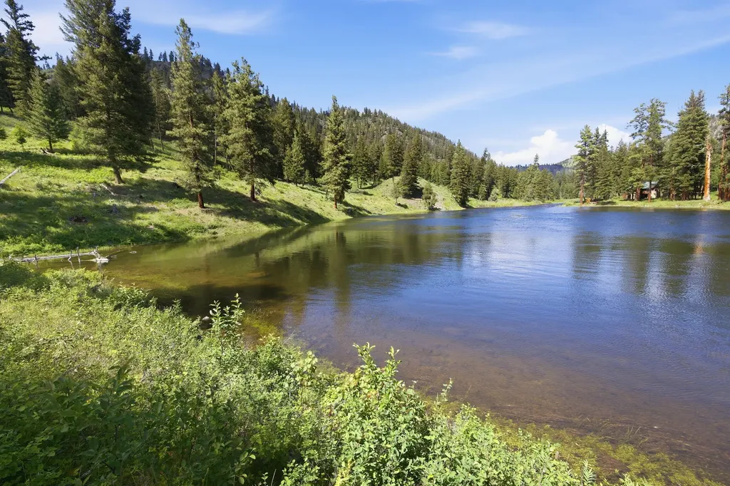 3 Big Waters Ranch Road Seeley Lake MT 59868