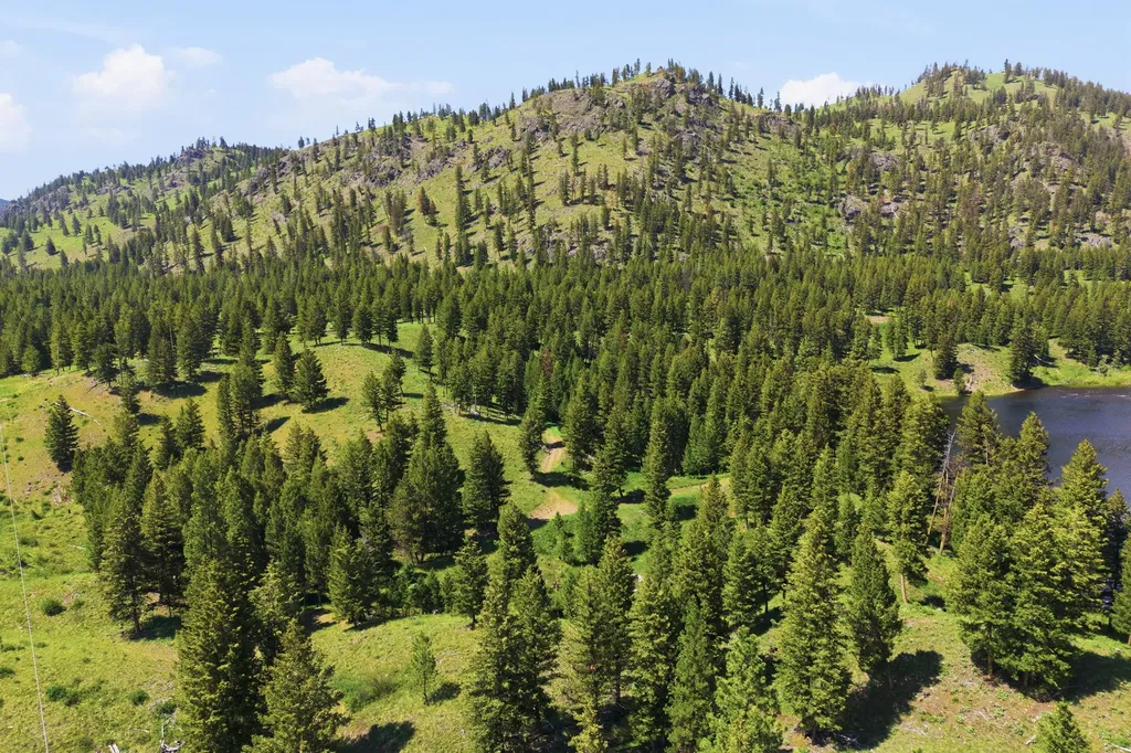 3 Big Waters Ranch Road Seeley Lake MT 59868