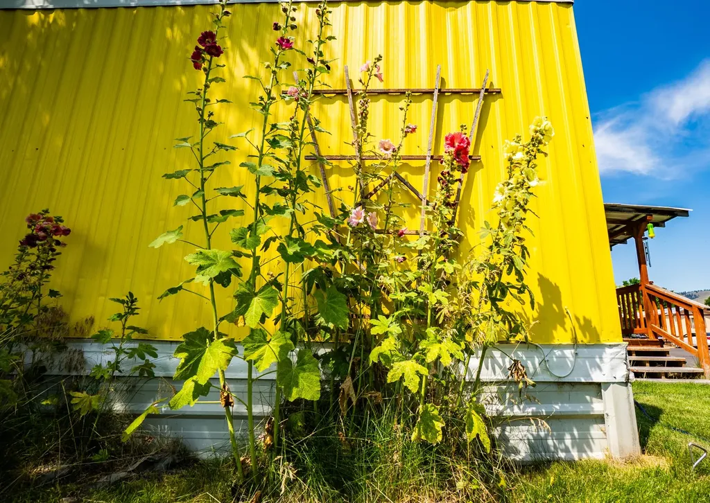 207 N Travois Missoula MT 59808