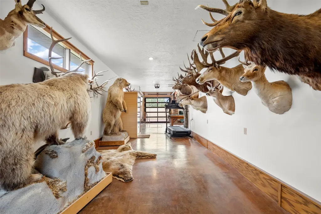 2915 St Ann Street Butte MT 59701