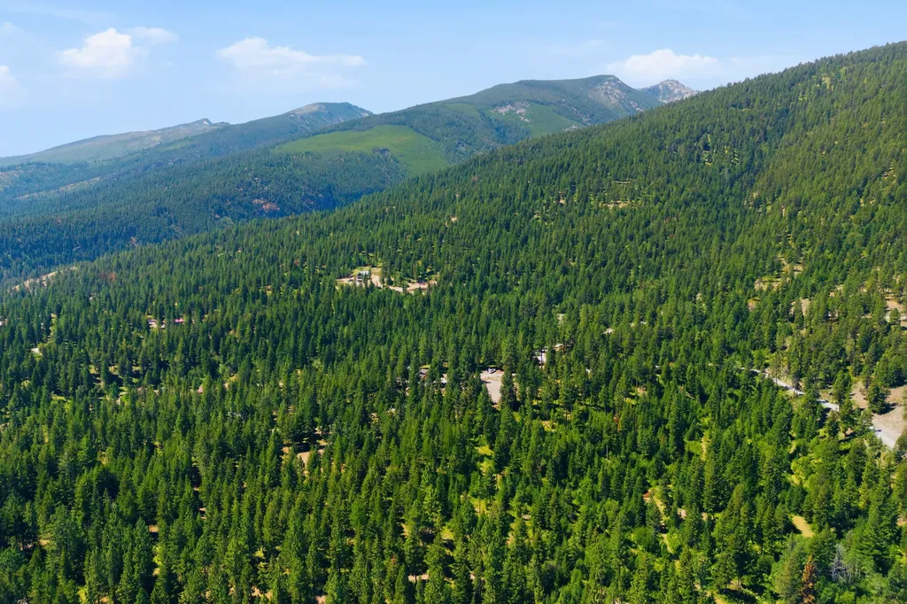 1666 Bear Face Road Victor MT 59875