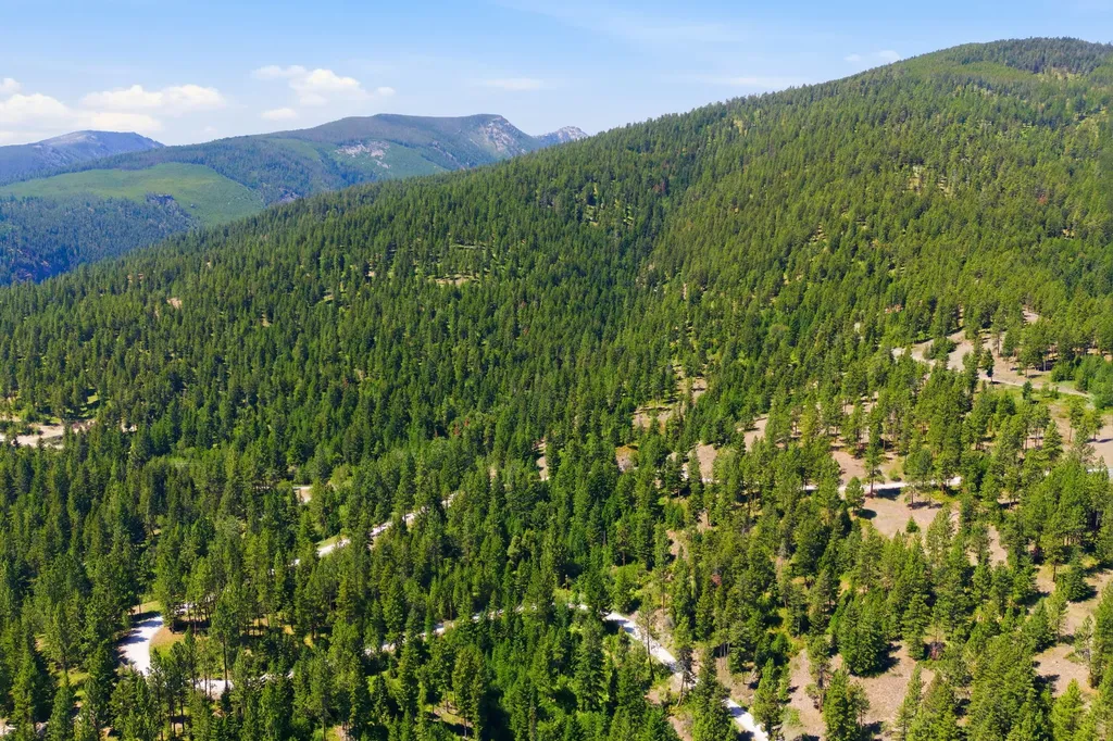 1666 Bear Face & Elizabeth Lane Victor MT 59875