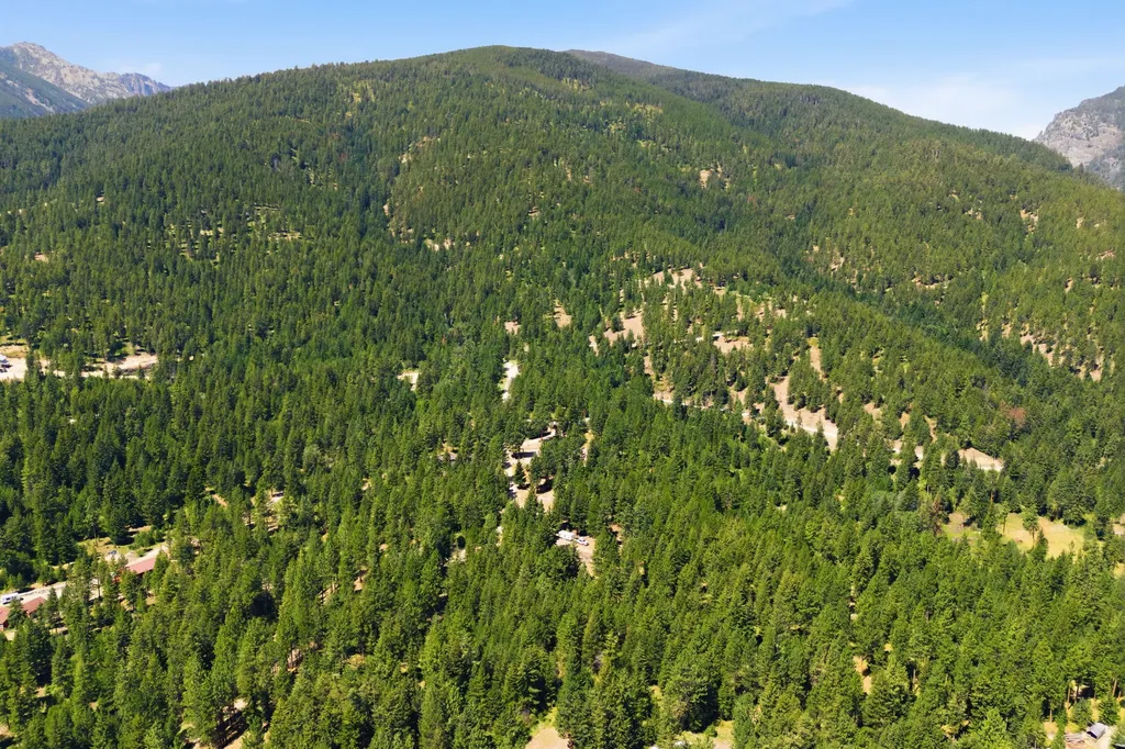 1666 Bear Face & Elizabeth Lane Victor MT 59875
