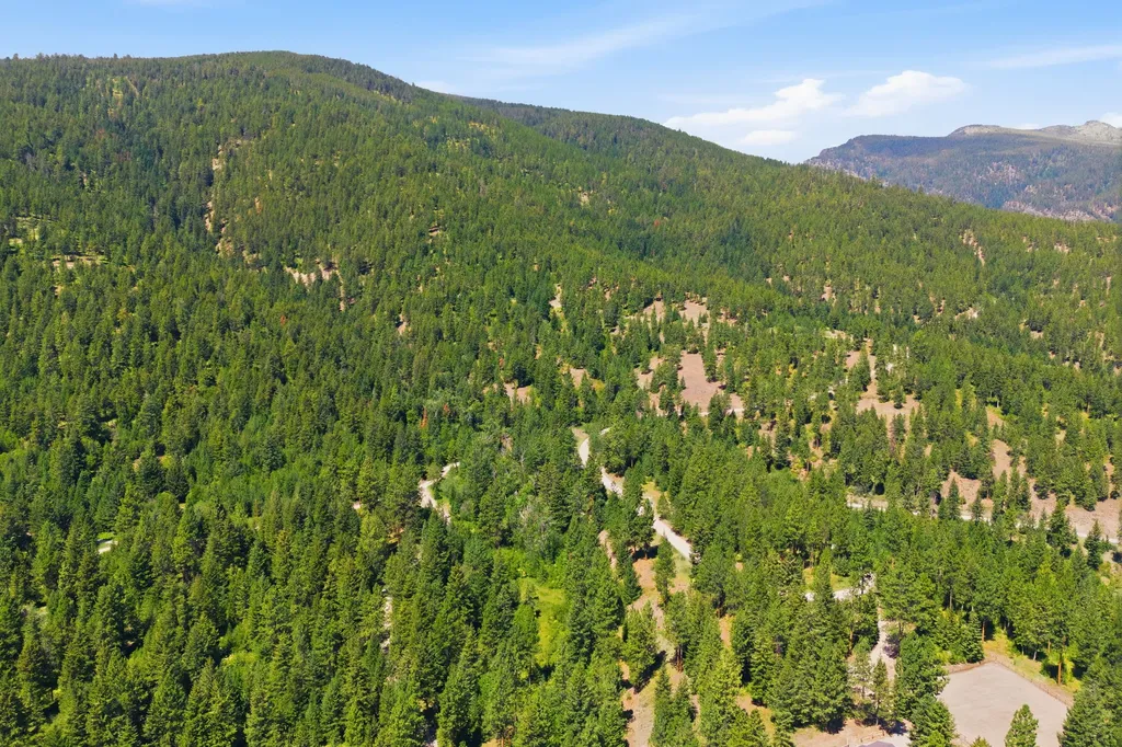 1666 Bear Face & Elizabeth Lane Victor MT 59875