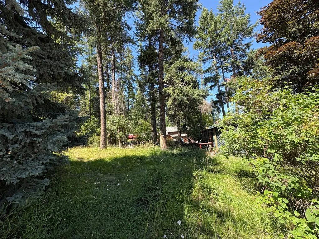 195 Village Lane Bigfork MT 59911