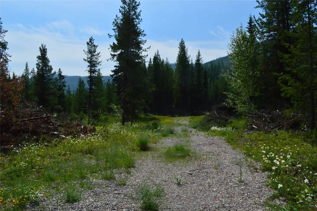 8990 North Fork Road Polebridge MT 59928