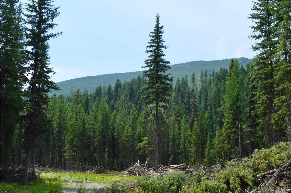 8990 North Fork Road Polebridge MT 59928