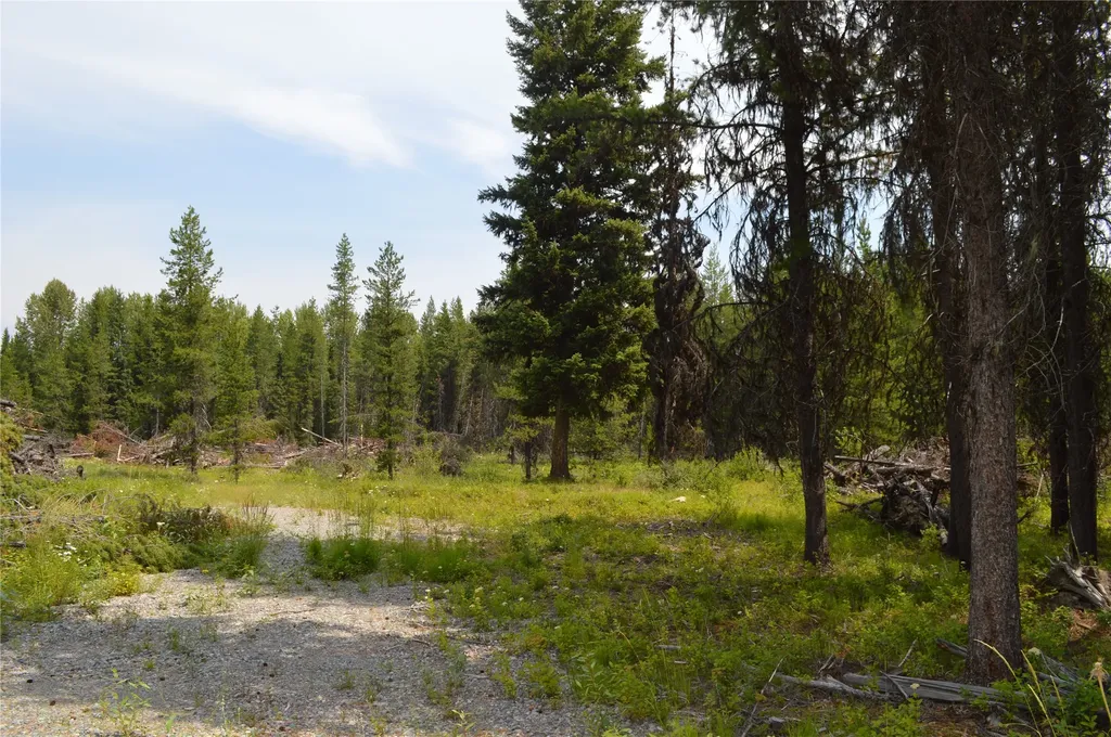 8990 North Fork Road Polebridge MT 59928