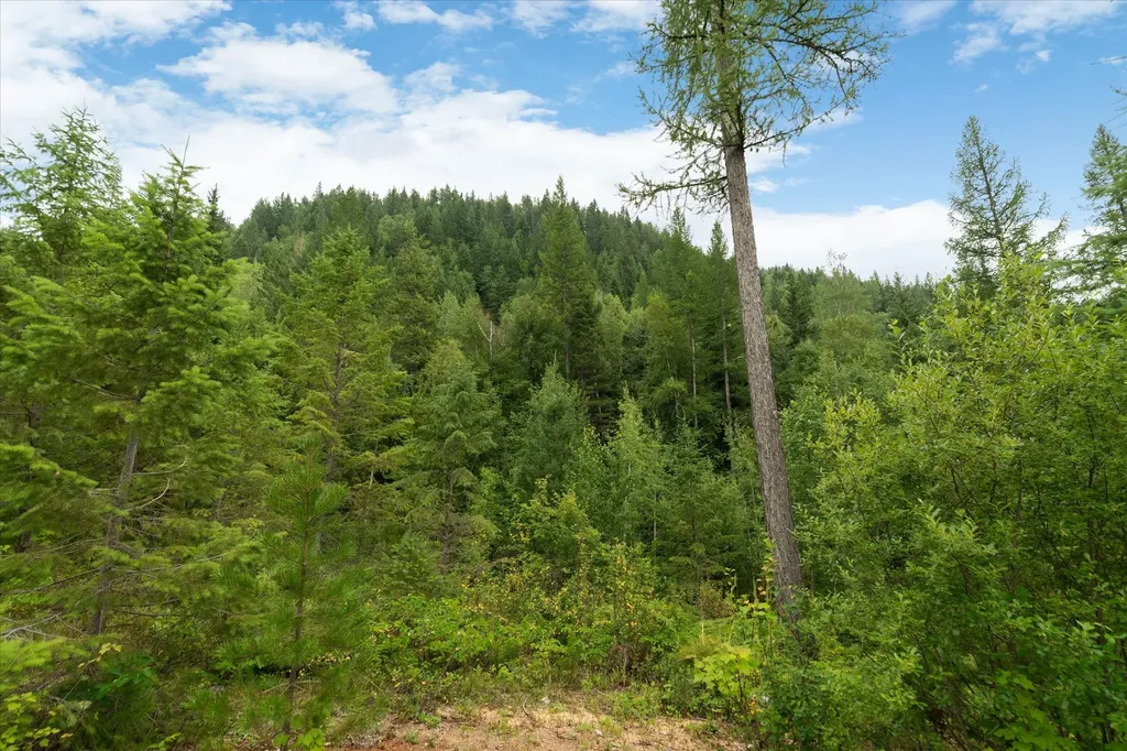 3945 North Fork Road Columbia Falls MT 59912