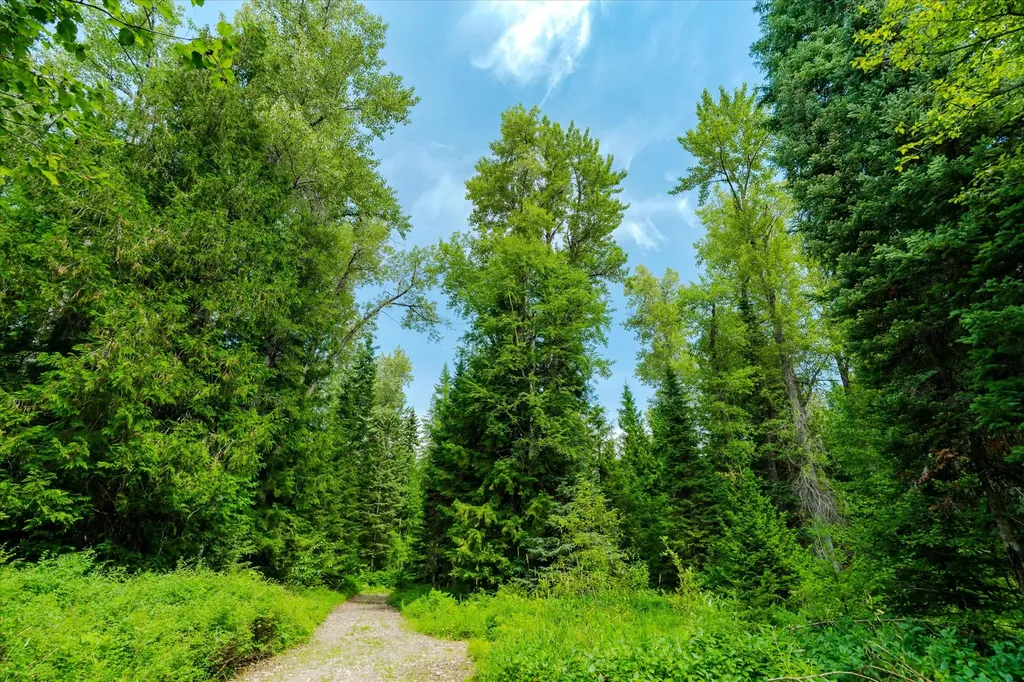 Nhn Trumbull Canyon Road Columbia Falls MT 59912