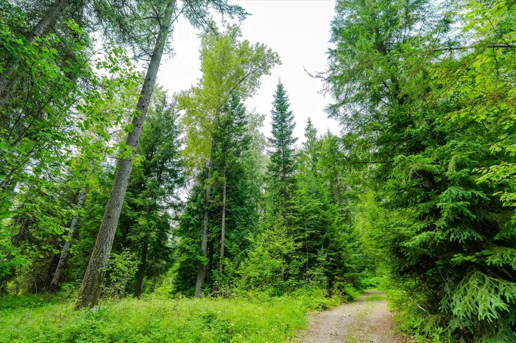 Nhn Trumbull Canyon Road Columbia Falls MT 59912