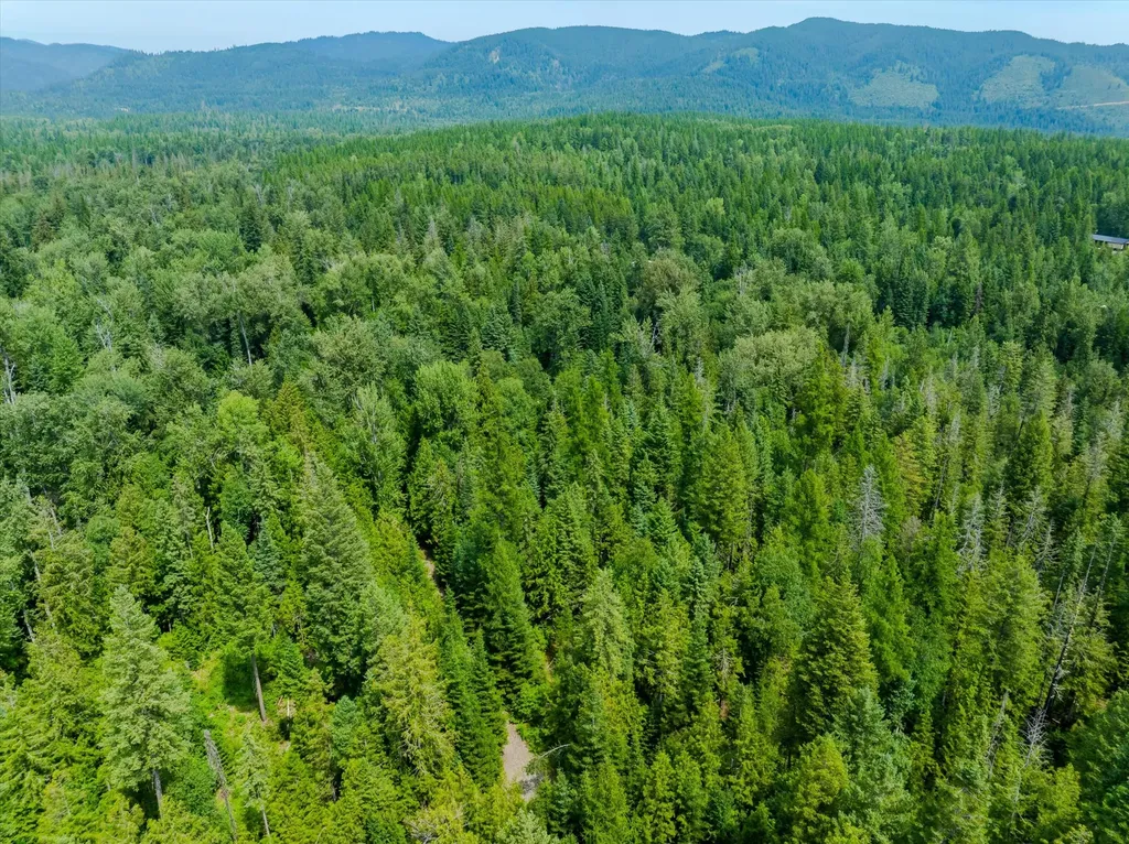 Nhn Trumbull Canyon Road Columbia Falls MT 59912