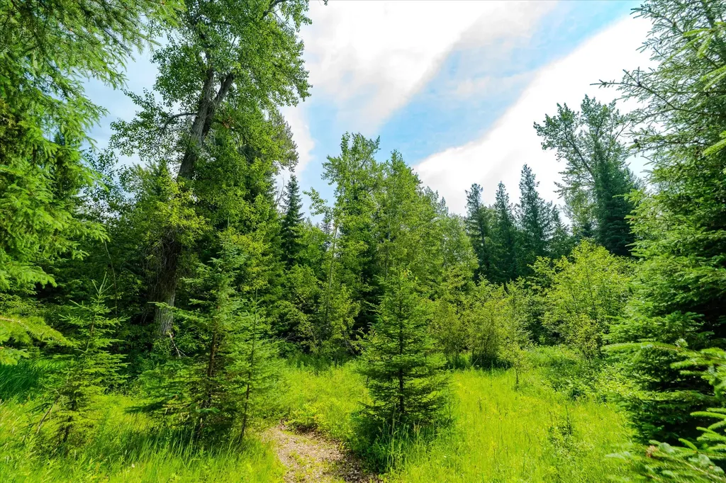 Nhn Trumbull Canyon Road Columbia Falls MT 59912