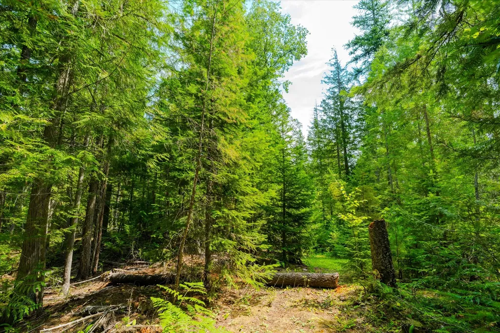 Nhn Trumbull Canyon Road Columbia Falls MT 59912
