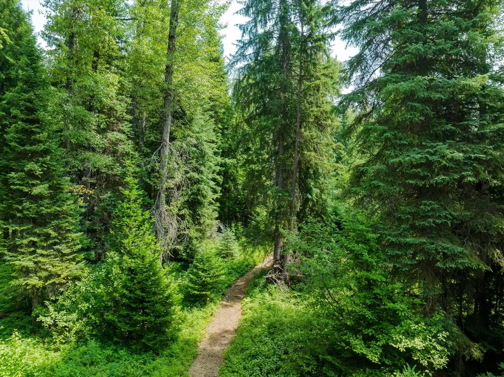 Nhn Trumbull Canyon Road Columbia Falls MT 59912