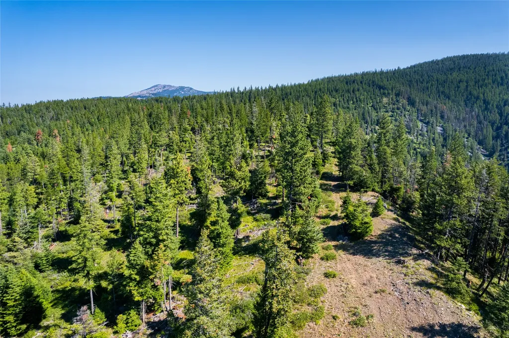 Nhn Clark Hinchwood Road Hot Springs MT 59845