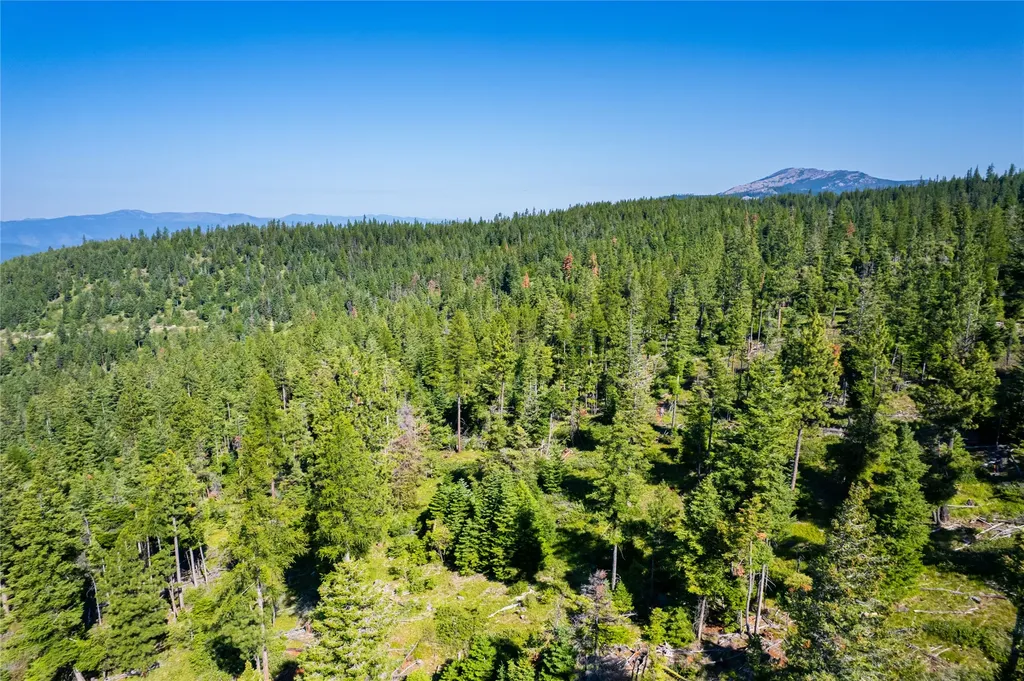 Nhn Clark Hinchwood Road Hot Springs MT 59845