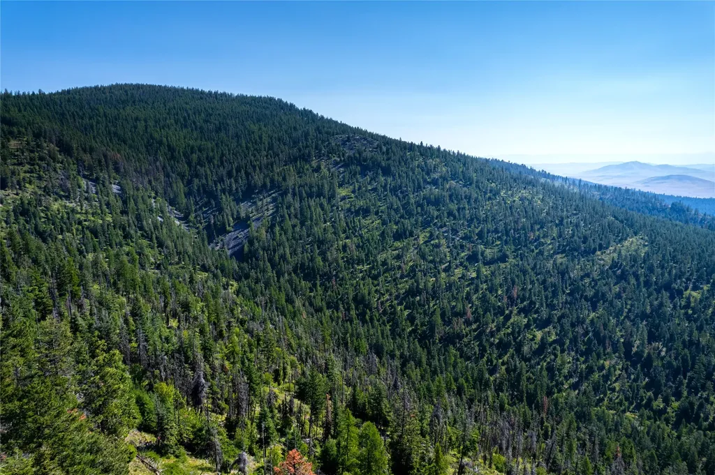 Nhn Clark Hinchwood Road Hot Springs MT 59845