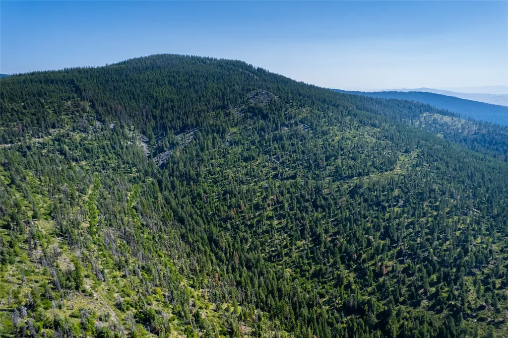 Nhn Clark Hinchwood Road Hot Springs MT 59845