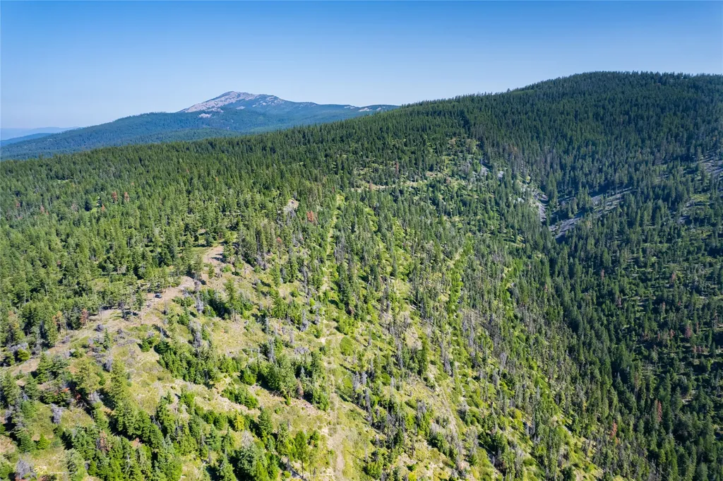 Nhn Clark Hinchwood Road Hot Springs MT 59845