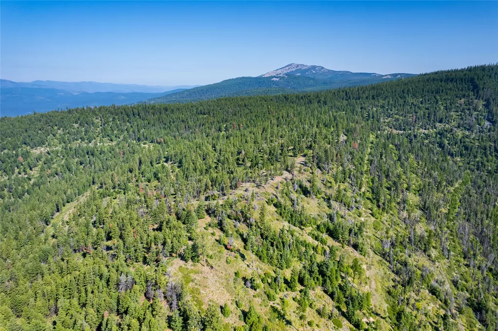 Nhn Clark Hinchwood Road Hot Springs MT 59845