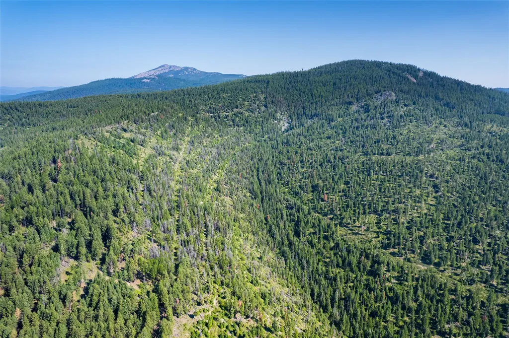 Nhn Clark Hinchwood Road Hot Springs MT 59845