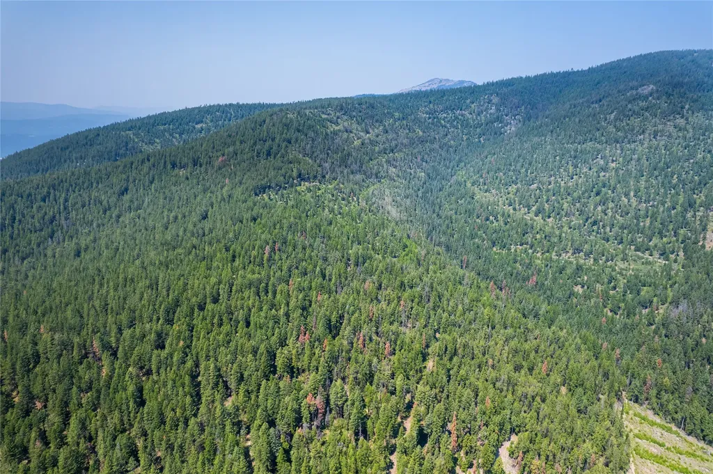 Nhn Clark Hinchwood Road Hot Springs MT 59845