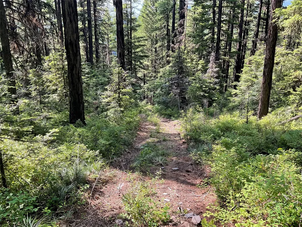 Nhn Clark Hinchwood Road Hot Springs MT 59845