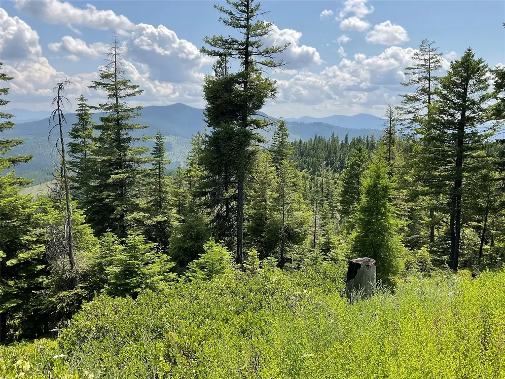 Nhn Clark Hinchwood Road Hot Springs MT 59845