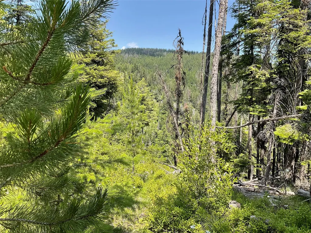 Nhn Clark Hinchwood Road Hot Springs MT 59845