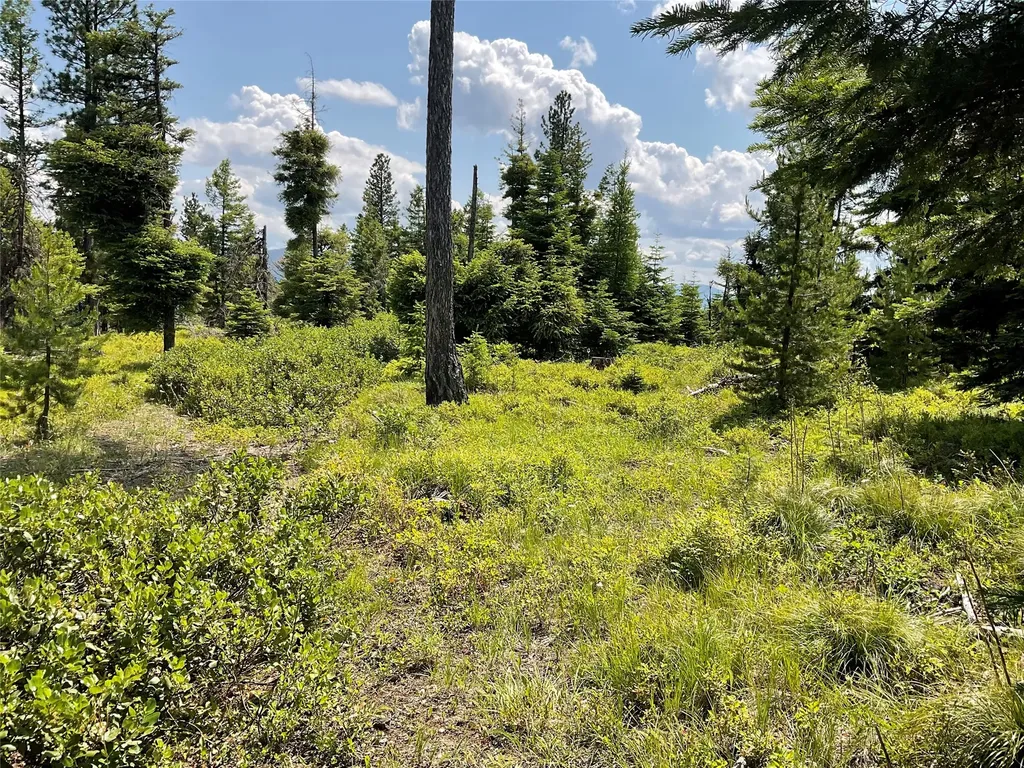 Nhn Clark Hinchwood Road Hot Springs MT 59845