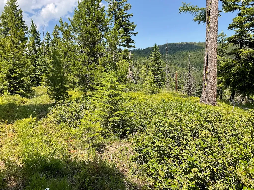 Nhn Clark Hinchwood Road Hot Springs MT 59845