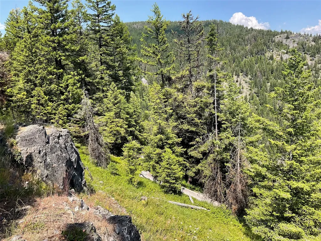 Nhn Clark Hinchwood Road Hot Springs MT 59845
