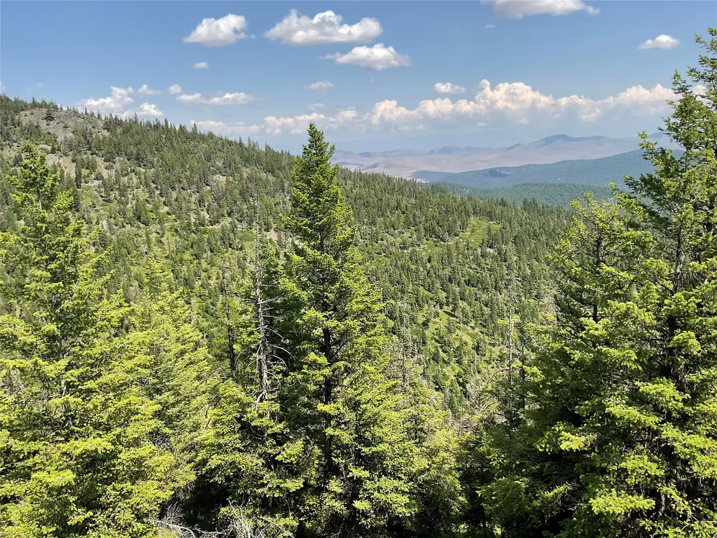 Nhn Clark Hinchwood Road Hot Springs MT 59845