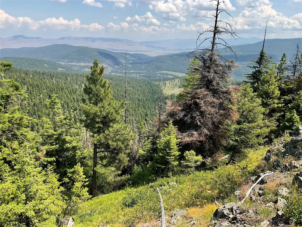 Nhn Clark Hinchwood Road Hot Springs MT 59845