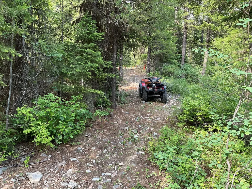 Nhn Clark Hinchwood Road Hot Springs MT 59845