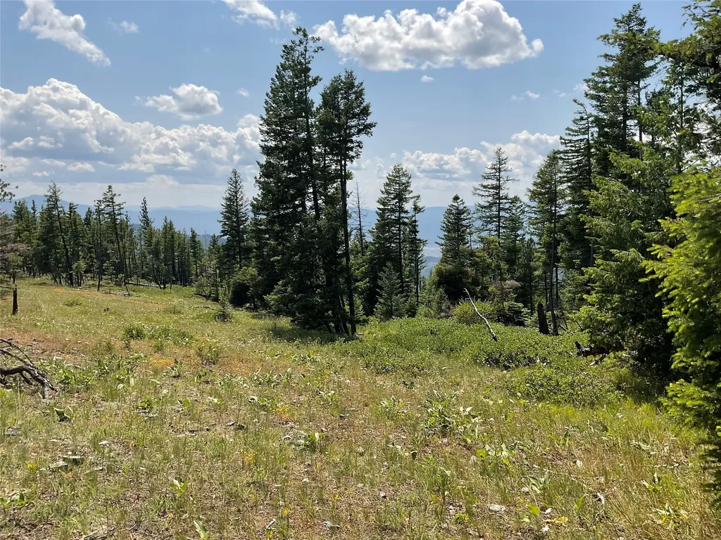 Nhn Clark Hinchwood Road Hot Springs MT 59845