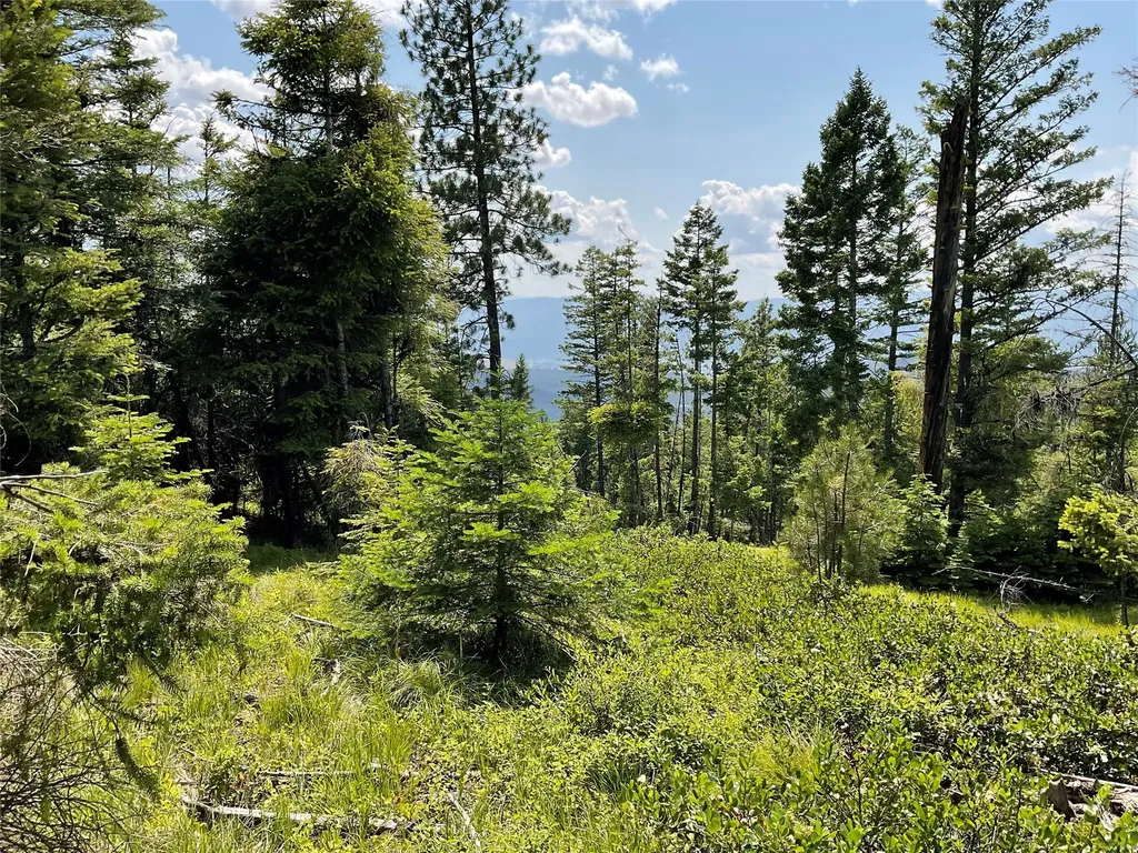 Nhn Clark Hinchwood Road Hot Springs MT 59845