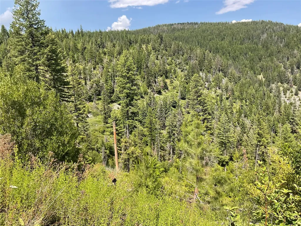 Nhn Clark Hinchwood Road Hot Springs MT 59845