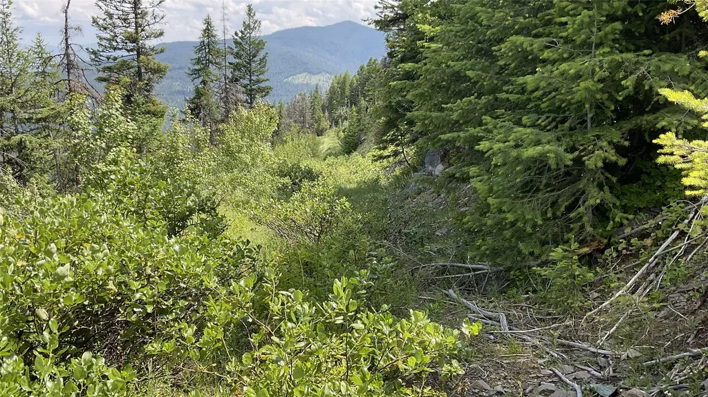 Nhn Clark Hinchwood Road Hot Springs MT 59845