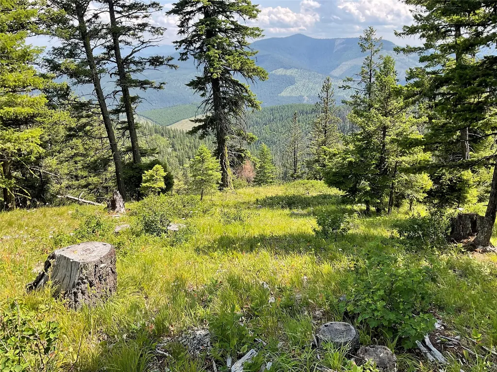 Nhn Clark Hinchwood Road Hot Springs MT 59845