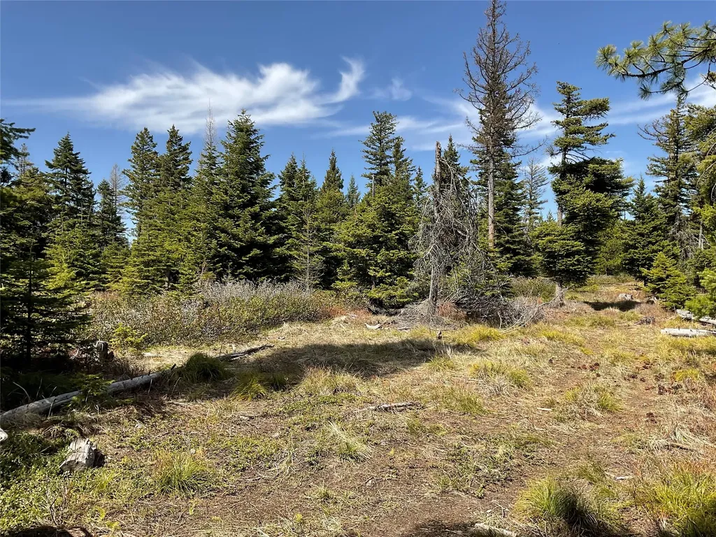 Nhn Clark Hinchwood Road Hot Springs MT 59845