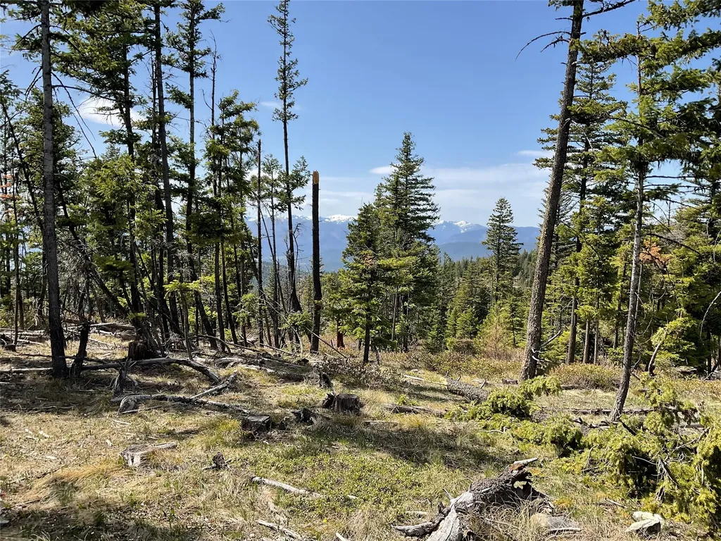 Nhn Clark Hinchwood Road Hot Springs MT 59845